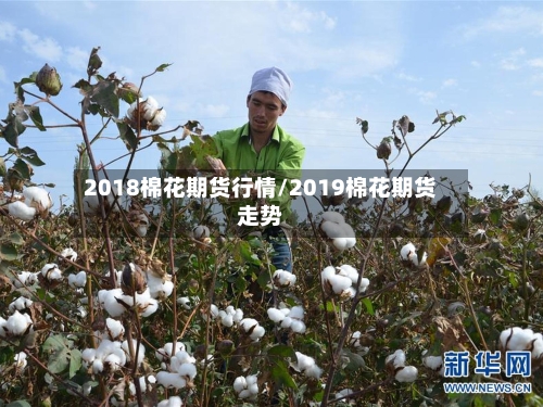 2018棉花期货行情/2019棉花期货走势