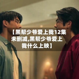 【黑帮少爷爱上我12集未删减,黑帮少爷爱上我什么上映】
