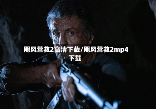 飓风营救2高清下载/飓风营救2mp4下载-第2张图片
