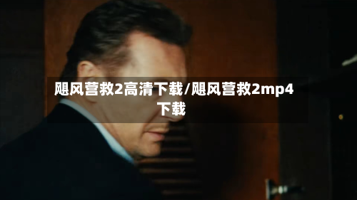 飓风营救2高清下载/飓风营救2mp4下载