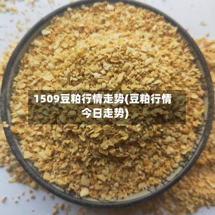 1509豆粕行情走势(豆粕行情今日走势)