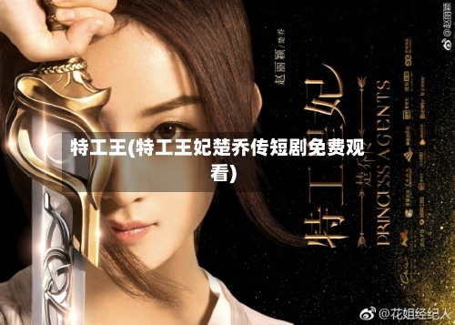 特工王(特工王妃楚乔传短剧免费观看)-第3张图片