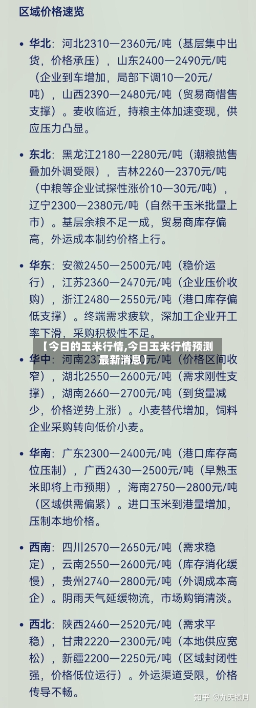 【今日的玉米行情,今日玉米行情预测最新消息】