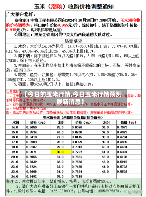【今日的玉米行情,今日玉米行情预测最新消息】-第2张图片