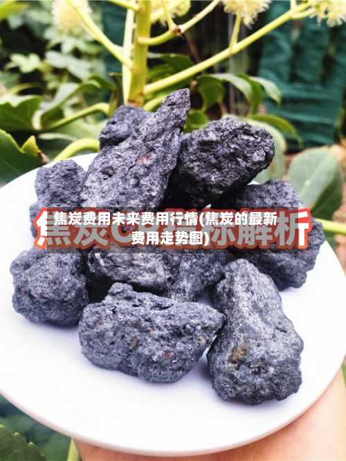 焦炭费用未来费用行情(焦炭的最新费用走势图)