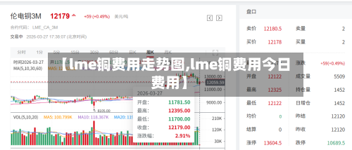 【lme铜费用走势图,lme铜费用今日费用】-第2张图片