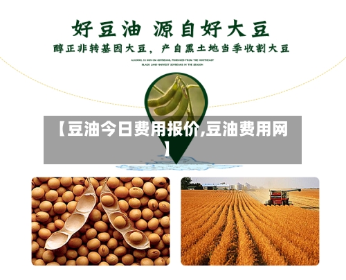 【豆油今日费用报价,豆油费用网】