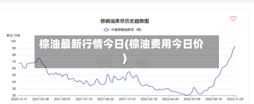 棕油最新行情今日(棕油费用今日价)-第3张图片