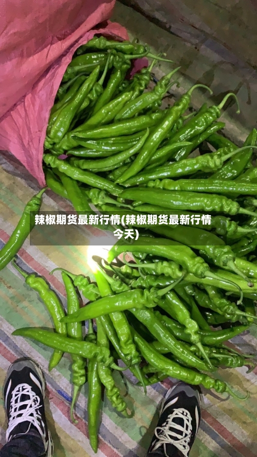 辣椒期货最新行情(辣椒期货最新行情今天)