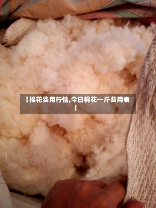 【棉花费用行情,今日棉花一斤费用表】