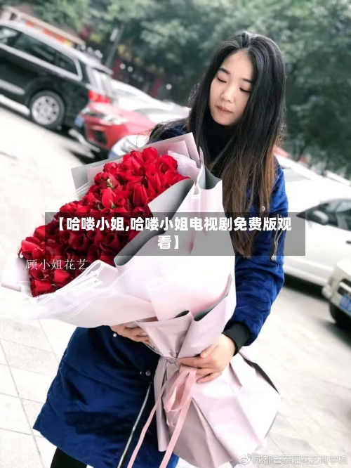 【哈喽小姐,哈喽小姐电视剧免费版观看】-第3张图片