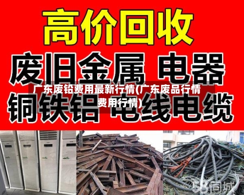 广东废铅费用最新行情(广东废品行情费用行情)