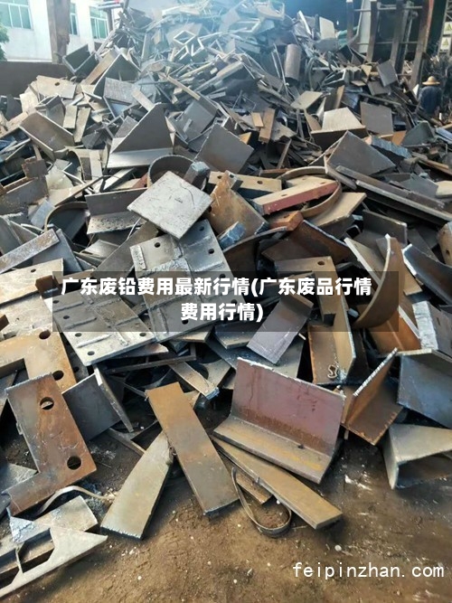 广东废铅费用最新行情(广东废品行情费用行情)-第2张图片