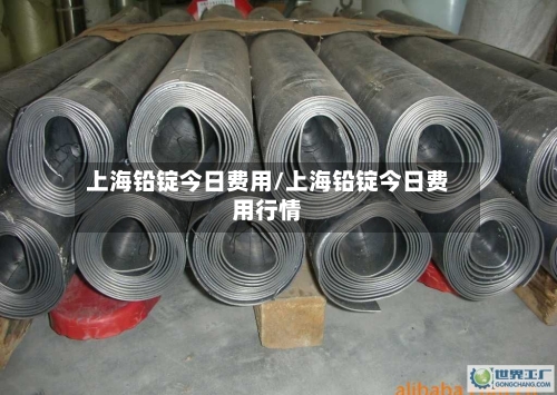 上海铅锭今日费用/上海铅锭今日费用行情