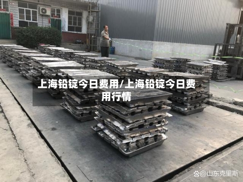上海铅锭今日费用/上海铅锭今日费用行情-第3张图片