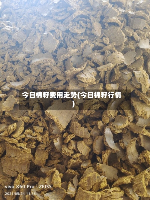 今日棉籽费用走势(今日棉籽行情)-第2张图片