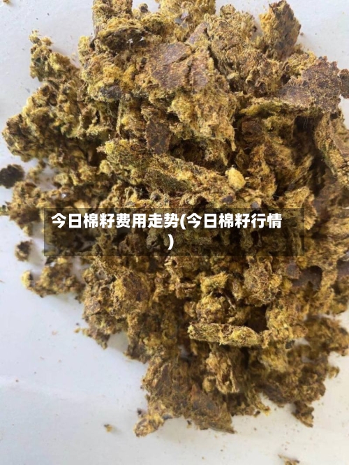 今日棉籽费用走势(今日棉籽行情)-第3张图片