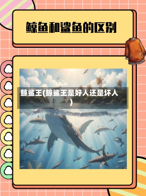 鲸鲨王(鲸鲨王是好人还是坏人)