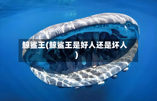 鲸鲨王(鲸鲨王是好人还是坏人)-第2张图片