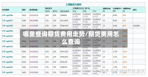 哪里查询期货费用走势/期货费用怎么查询-第2张图片