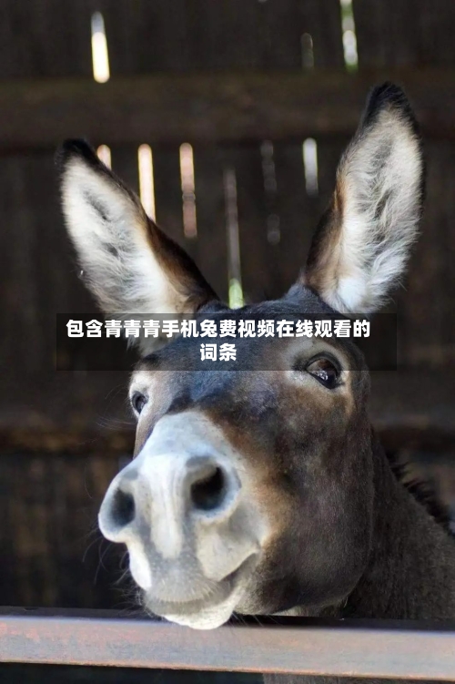 包含青青青手机兔费视频在线观看的词条