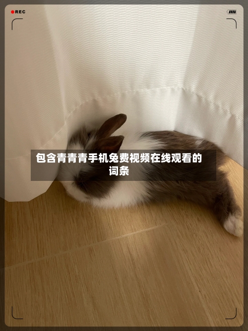 包含青青青手机兔费视频在线观看的词条-第3张图片
