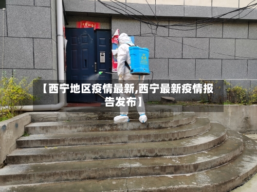 【西宁地区疫情最新,西宁最新疫情报告发布】-第2张图片