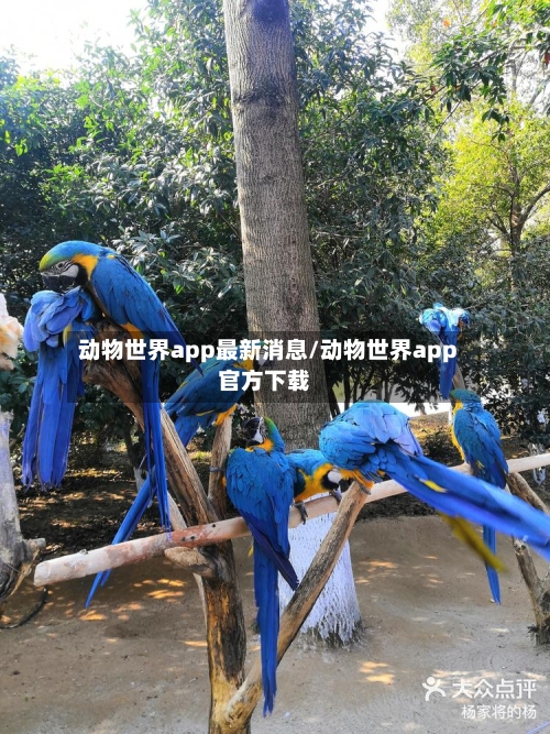 动物世界app最新消息/动物世界app官方下载