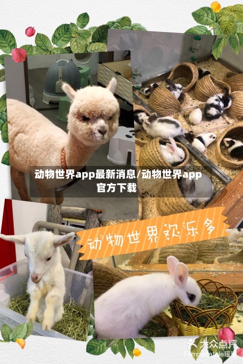 动物世界app最新消息/动物世界app官方下载-第3张图片