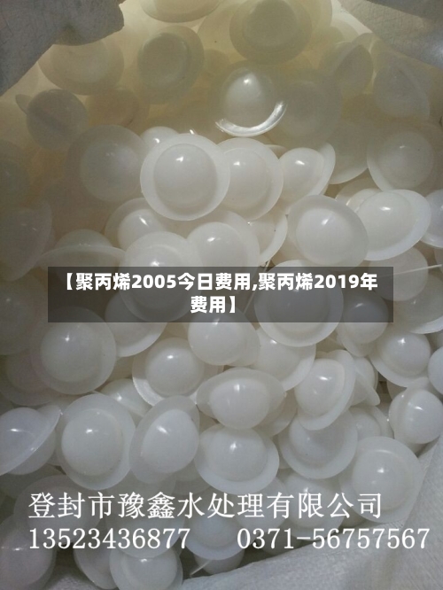 【聚丙烯2005今日费用,聚丙烯2019年费用】-第2张图片