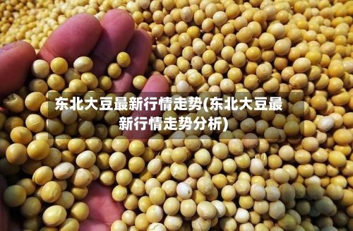东北大豆最新行情走势(东北大豆最新行情走势分析)