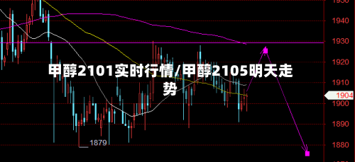 甲醇2101实时行情/甲醇2105明天走势
