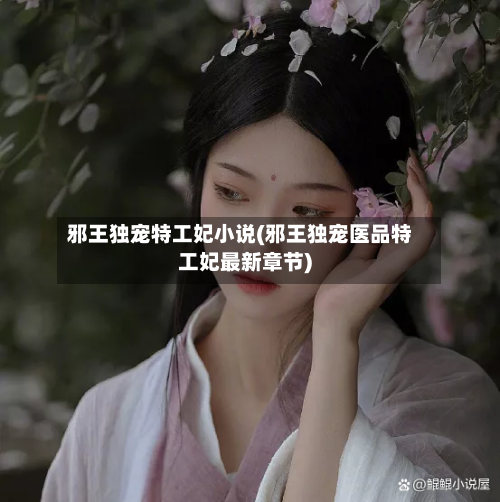 邪王独宠特工妃小说(邪王独宠医品特工妃最新章节)-第2张图片
