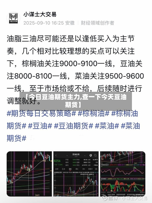 【今日豆油期货主力,查一下今天豆油期货】