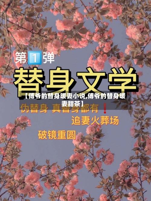 【傅爷的替身暖妻小说,傅爷的替身暖妻甜茶】-第3张图片