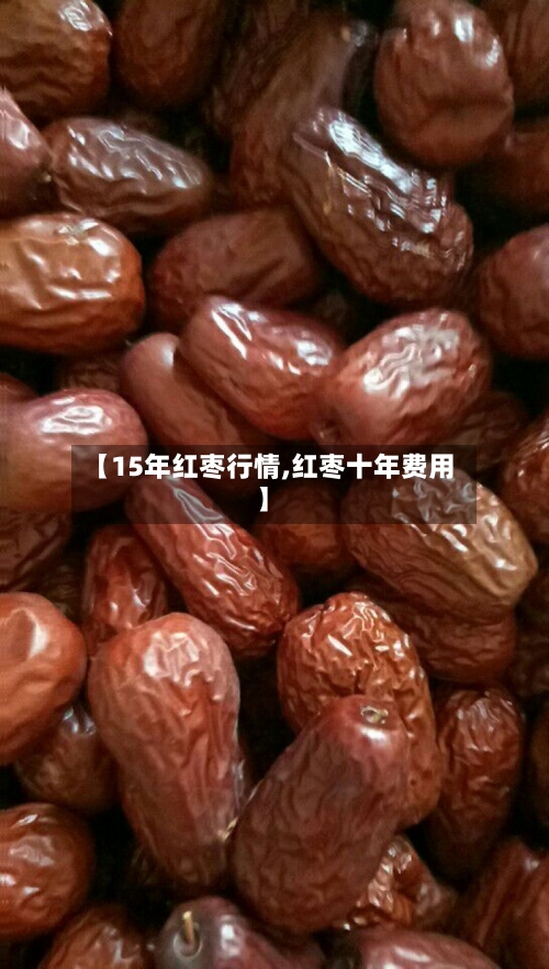 【15年红枣行情,红枣十年费用】