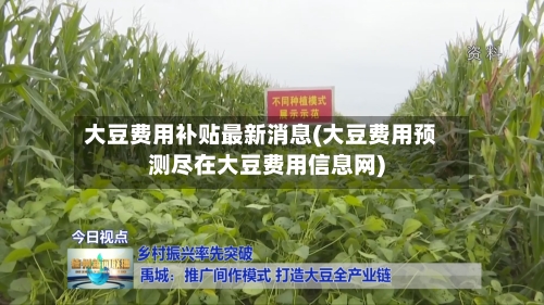 大豆费用补贴最新消息(大豆费用预测尽在大豆费用信息网)-第2张图片