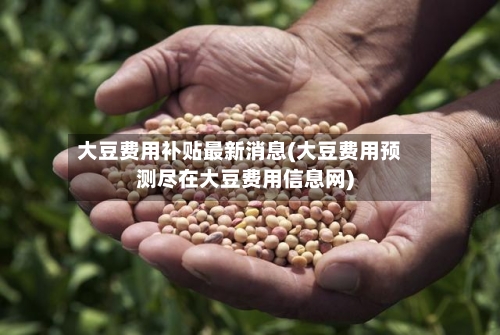 大豆费用补贴最新消息(大豆费用预测尽在大豆费用信息网)