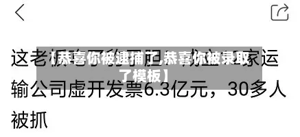 【恭喜你被逮捕了,恭喜你被录取了模板】-第2张图片
