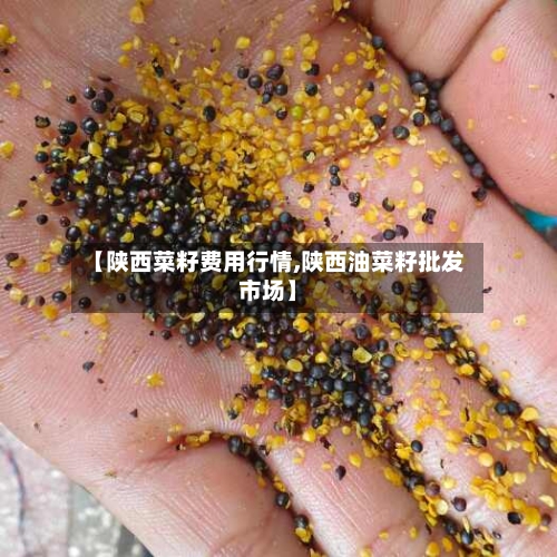 【陕西菜籽费用行情,陕西油菜籽批发市场】