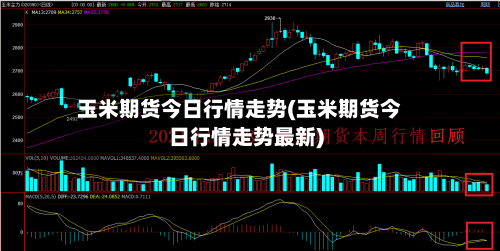 玉米期货今日行情走势(玉米期货今日行情走势最新)