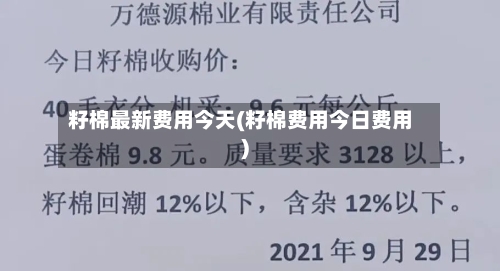 籽棉最新费用今天(籽棉费用今日费用)
