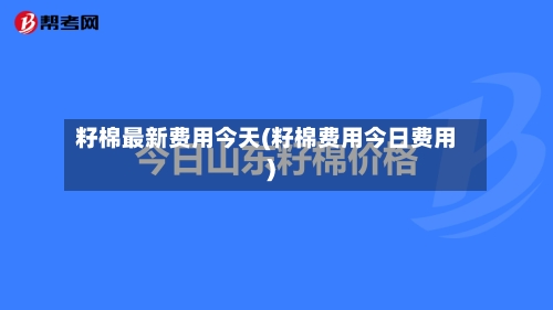 籽棉最新费用今天(籽棉费用今日费用)-第3张图片