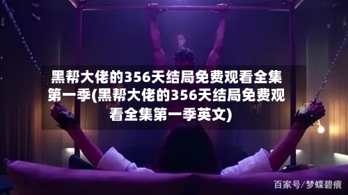 黑帮大佬的356天结局免费观看全集第一季(黑帮大佬的356天结局免费观看全集第一季英文)-第3张图片