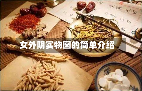 女外阴实物图的简单介绍