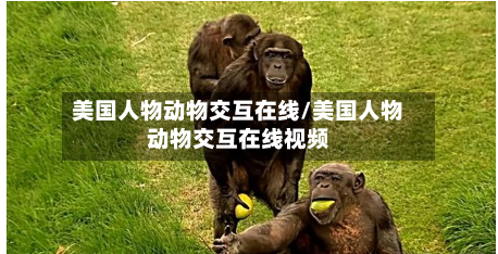 美国人物动物交互在线/美国人物动物交互在线视频
