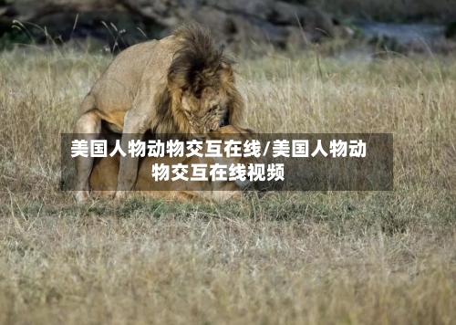 美国人物动物交互在线/美国人物动物交互在线视频-第3张图片