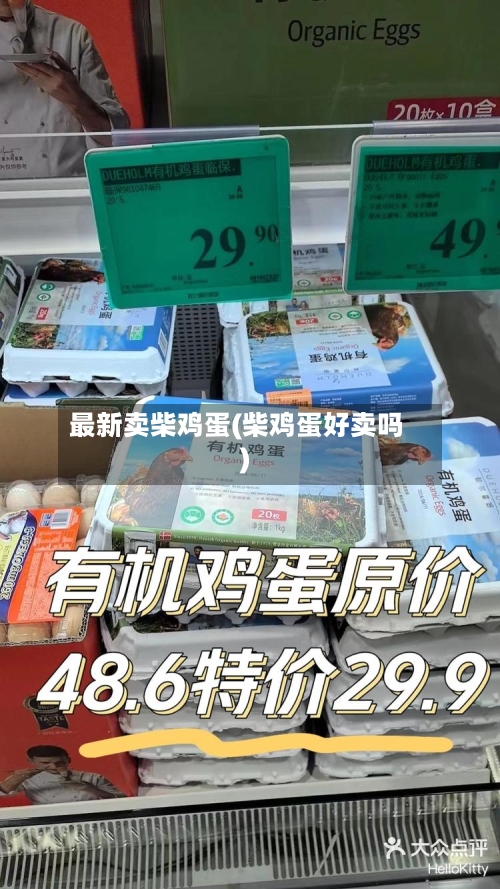 最新卖柴鸡蛋(柴鸡蛋好卖吗)-第2张图片