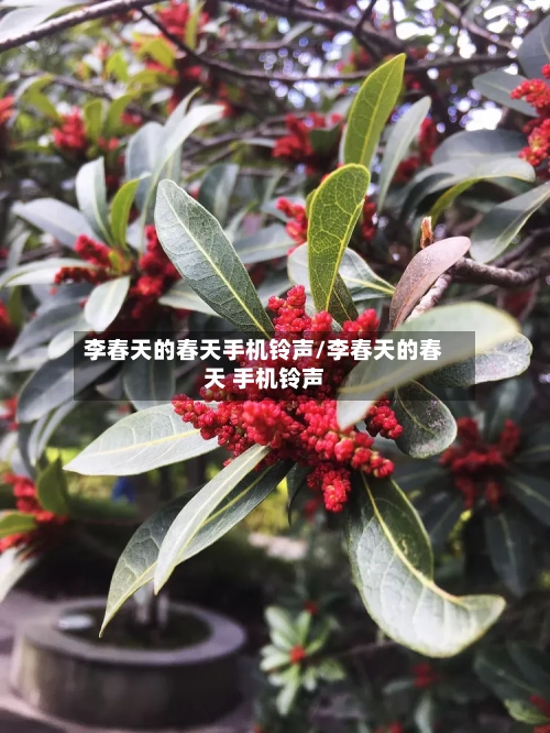 李春天的春天手机铃声/李春天的春天 手机铃声