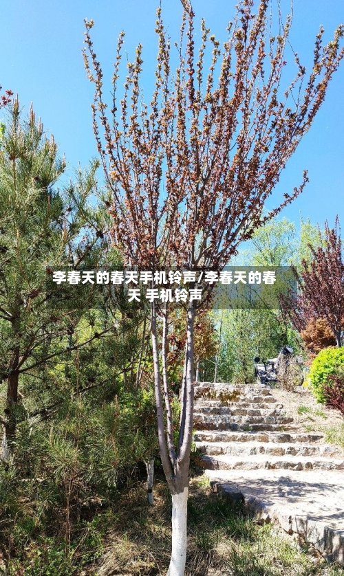李春天的春天手机铃声/李春天的春天 手机铃声-第3张图片